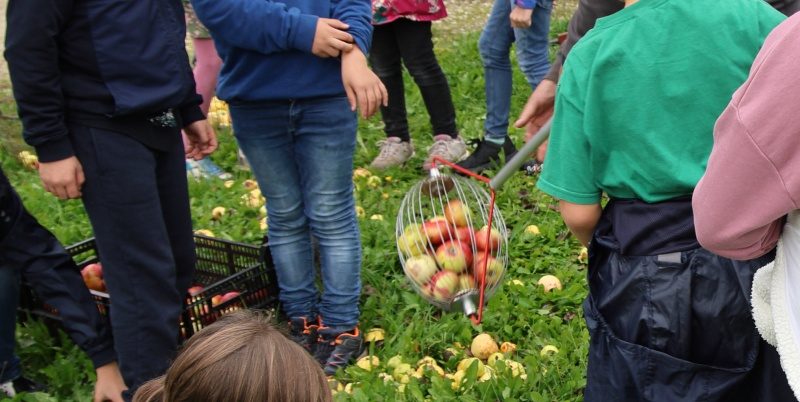 2025_Bild_K4_Mosten34